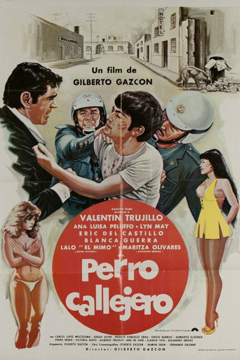 Poster for Perro callejero