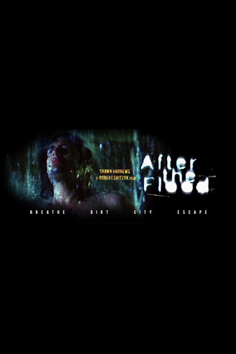 Poster for After the Flood