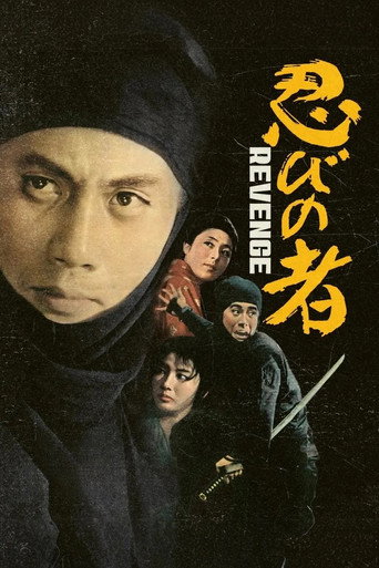 Poster for Shinobi no Mono 2: Vengeance