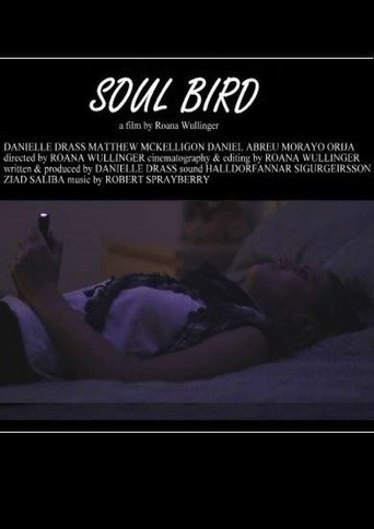 Poster for Soul Bird