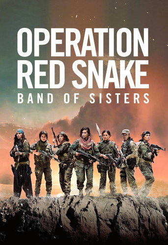 Poster for Sisters in Arms