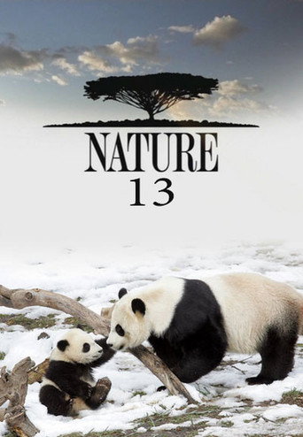 The poster for Season 13