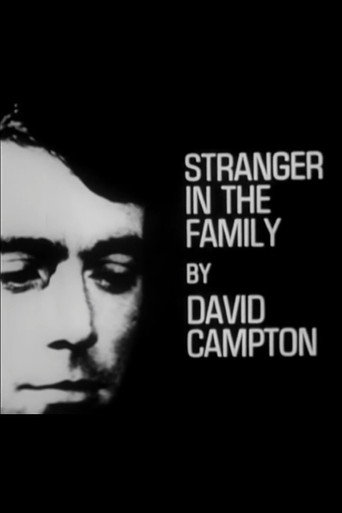 Poster for Stranger in the Family