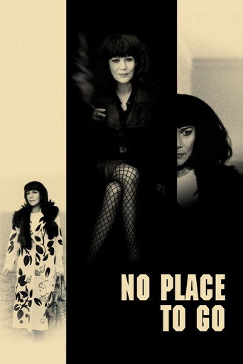 Poster for No Place to Go