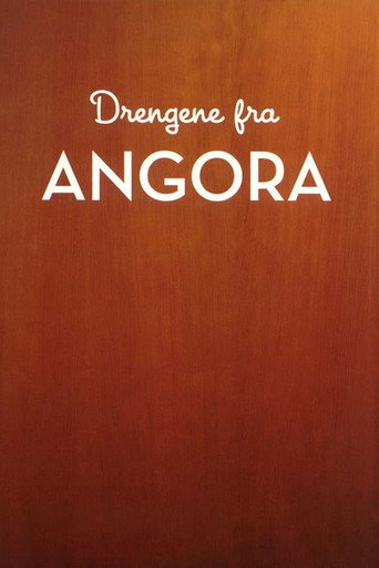 Poster for Drengene fra Angora