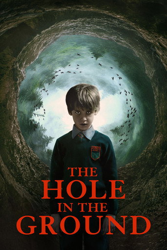 Poster for The Hole in the Ground