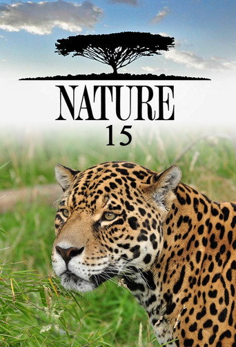 The poster for Season 15