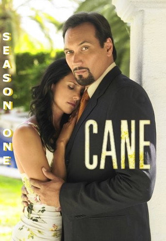 The poster for Season 1