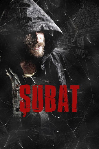 Poster for Şubat