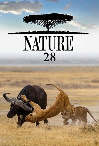 The poster for Season 28