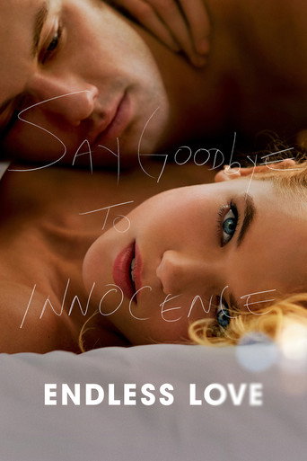 Poster for Endless Love