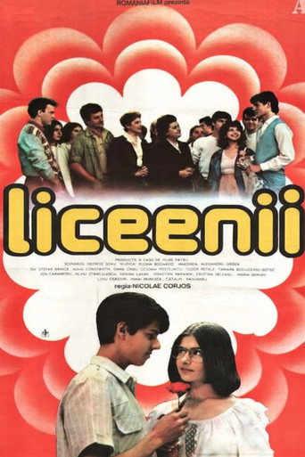 Poster for The High Schoolers
