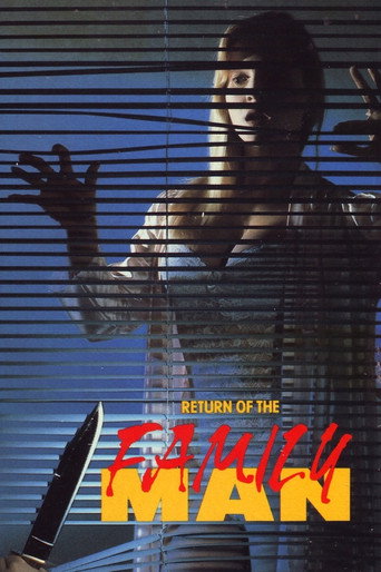 Poster for Return of the Family Man