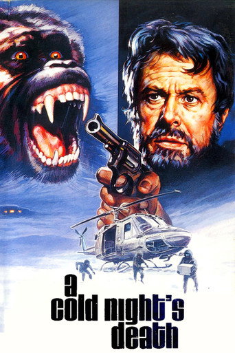 Poster for A Cold Night's Death