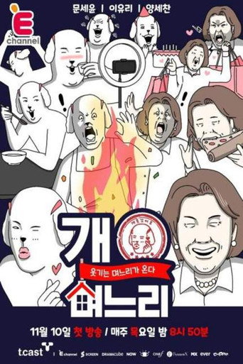Poster for 개며느리
