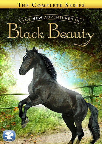 Poster for The New Adventures of Black Beauty