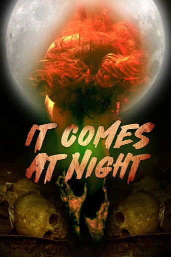 Poster for In the Light of the Night