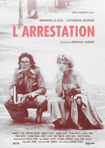 Poster for The arrest