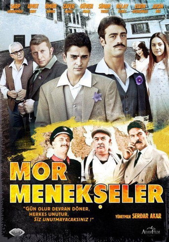 Poster for Mor Menekşeler