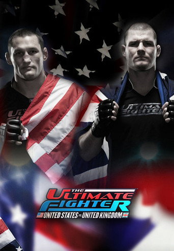 The poster for United States vs. United Kingdom