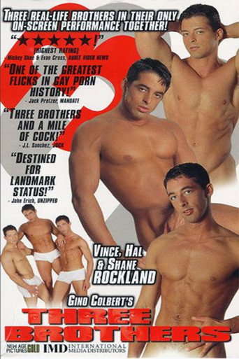 Poster for Three Brothers
