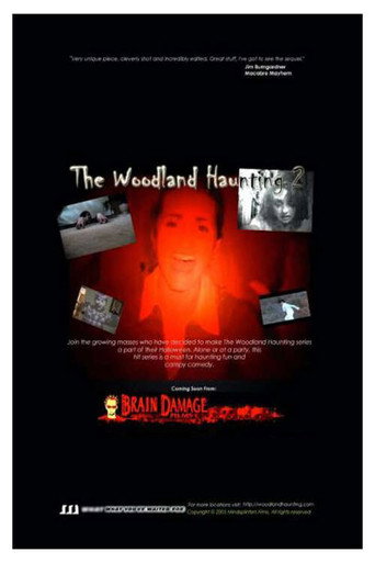 Poster for The Woodland Haunting 2