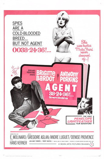 Poster for Agent 38-24-36