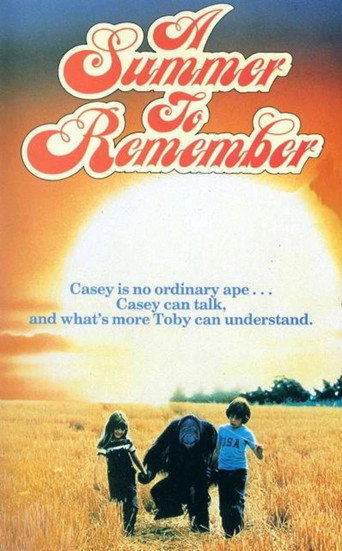 Poster for A Summer to Remember