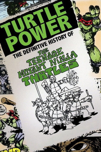 Poster for Turtle Power: The Definitive History of the Teenage Mutant Ninja Turtles