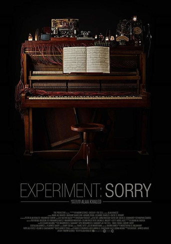 Poster for Experiment: Sorry