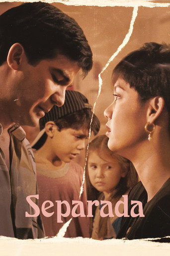 Poster for A Separated Woman