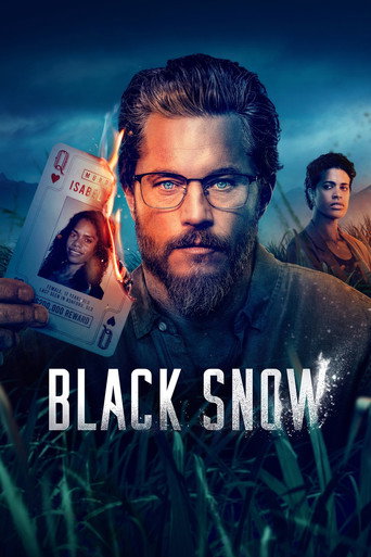 Poster for Black Snow