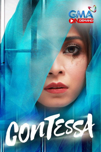 The poster for Season 1