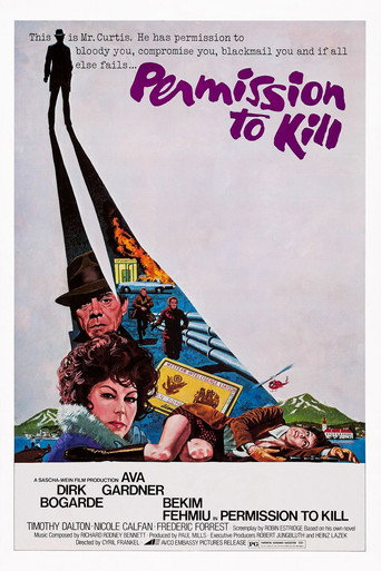 Poster for Permission to Kill