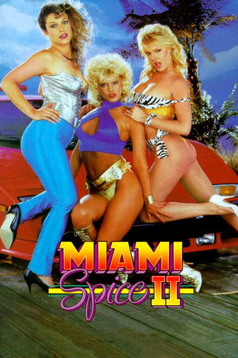 Poster for Miami Spice II