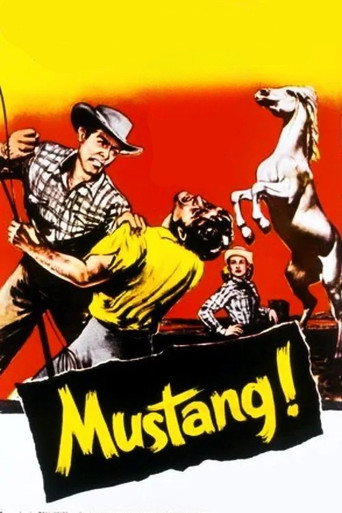 Poster for Mustang!
