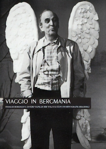 Poster for Viaggio in Bergmania
