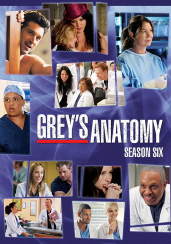 The poster for Season 6