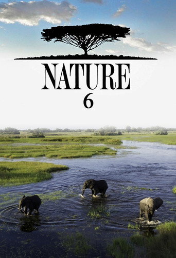 The poster for Season 6