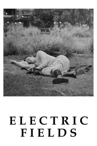 Poster for Electric Fields