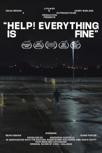 Poster for Help! Everything is Fine