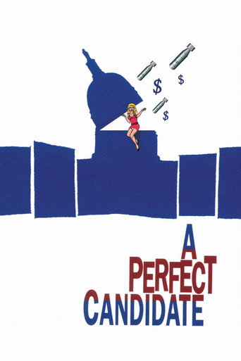 Poster for A Perfect Candidate