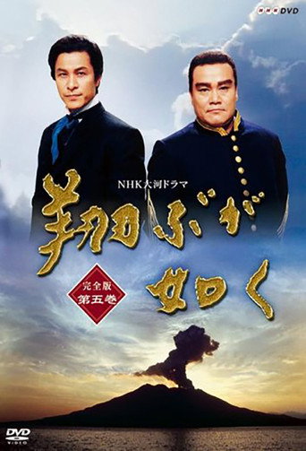 Poster for As If In Flight