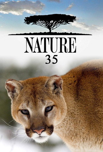The poster for Season 35