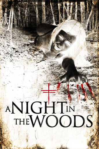 Poster for A Night in the Woods
