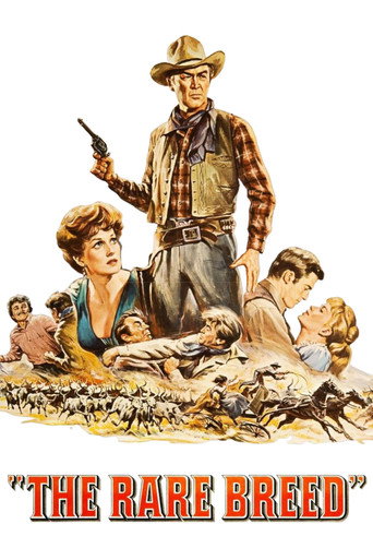Poster for The Rare Breed