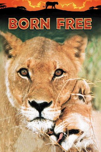 Poster for Born Free
