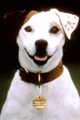 Portrait of Soccer the Dog