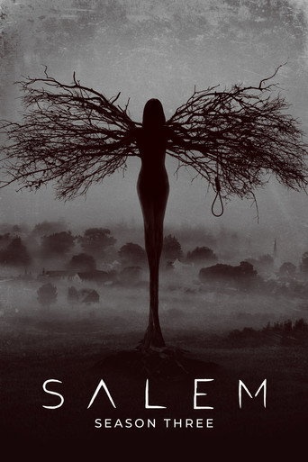 The poster for Season 3