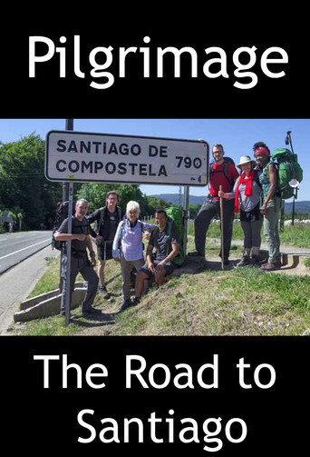 The poster for The Road to Santiago